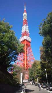 111121_113126_ed 111121_113126_ed
