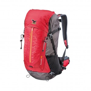 ascent42 ascent42