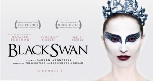 black-swan black-swan