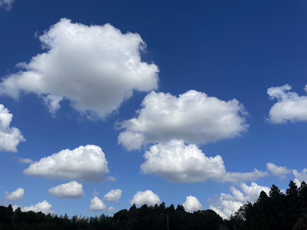 cloud1 cloud1