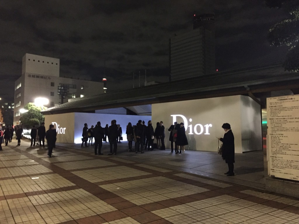 dior31 dior31