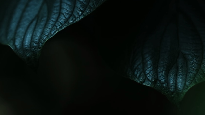 dsc00200