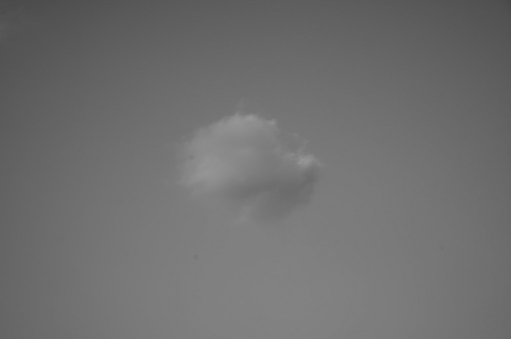 dsc00268