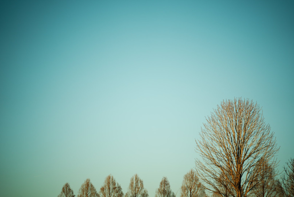 dsc03474 dsc03474