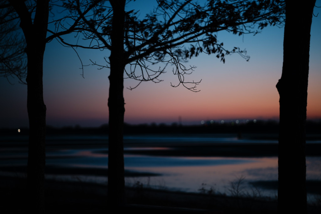 dsc03611 dsc03611