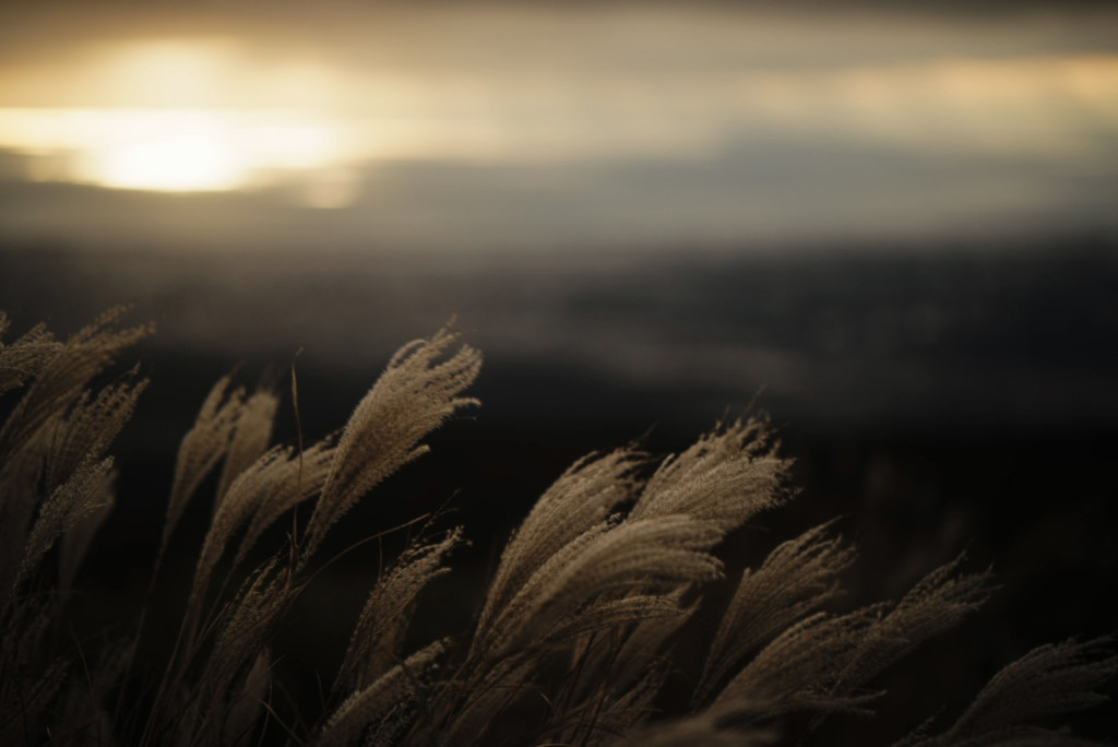 dsc05271 dsc05271