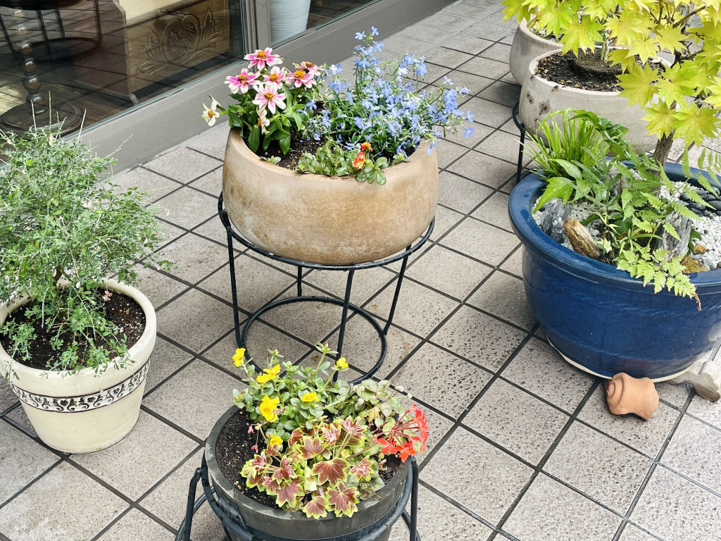 flower5 flower5