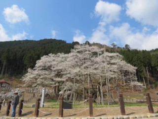 gifu_7