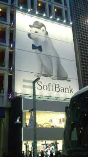 ginza11 ginza11