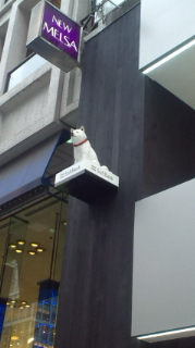ginza21 ginza21