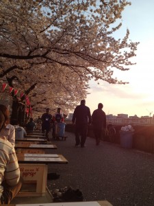 hanami1 hanami1