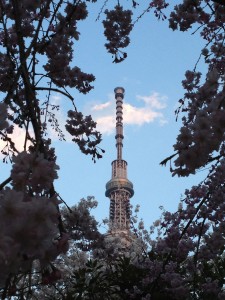 hanami2 hanami2