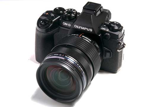 hi_dsc_1181 hi_dsc_1181