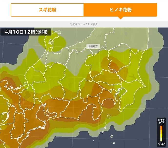 hinoki1
