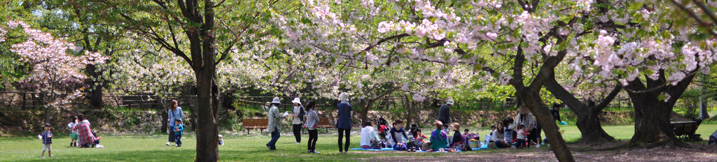 hirosaki10 hirosaki10