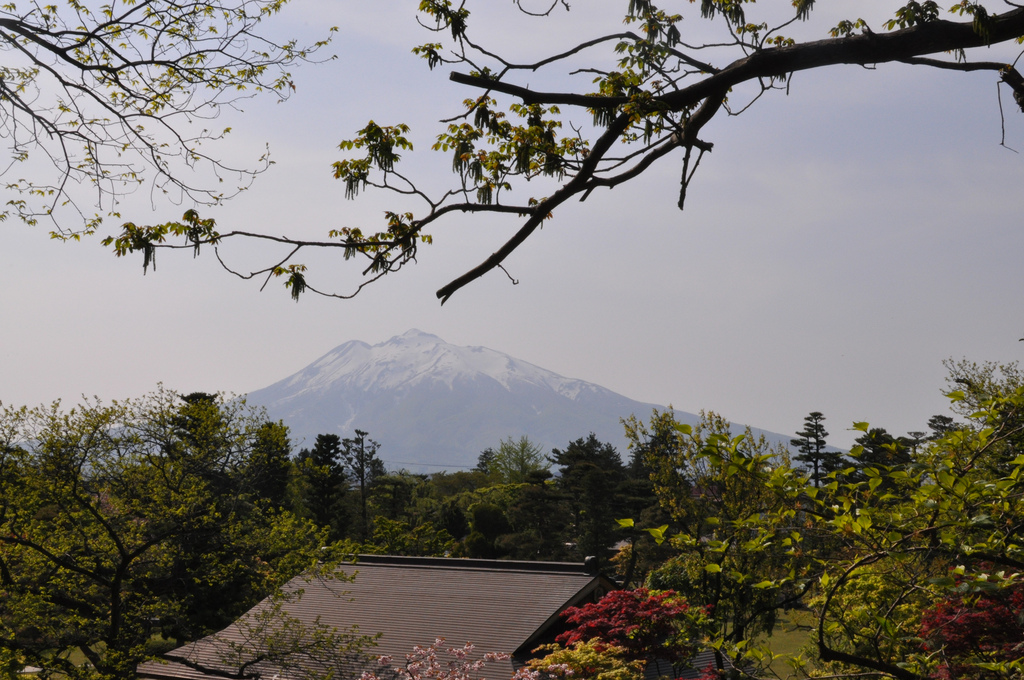 hirosaki5 hirosaki5