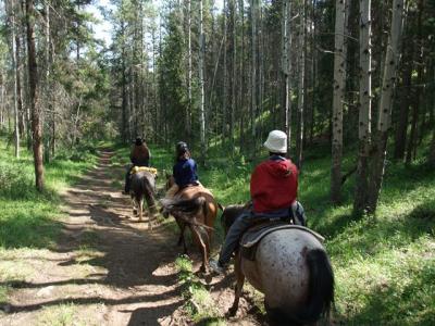 horse