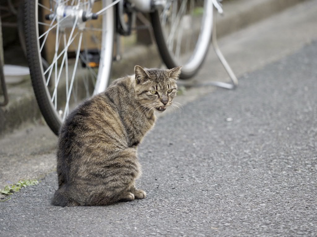 img_3580 img_3580