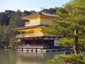 kinnkaku kinnkaku