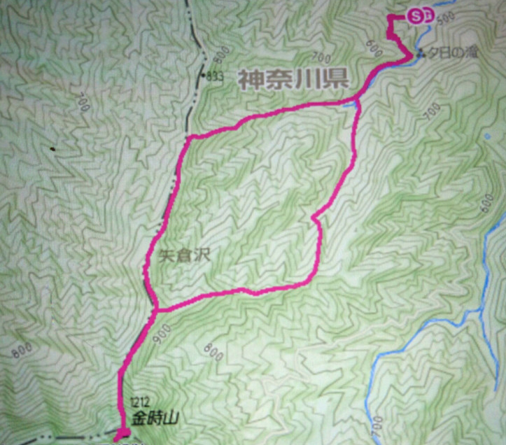 kintoki