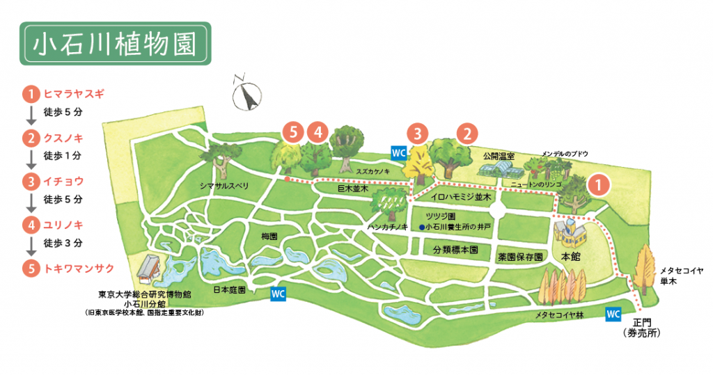 koishikawabgmap2 koishikawabgmap2
