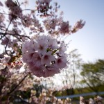 koufu_2 koufu_2
