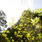 koufu_5 koufu_5