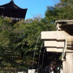 kyoto3 kyoto3