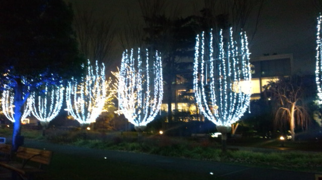 light2