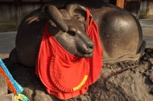 nadeushi nadeushi