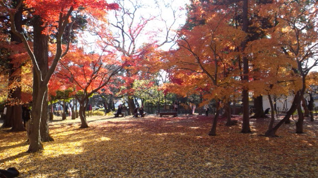 nagano7 nagano7