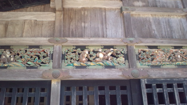 nikko3