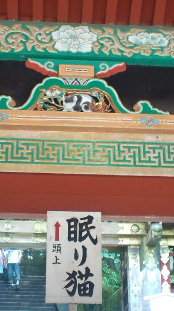 nikko4