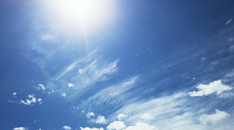 o08000444134135647681