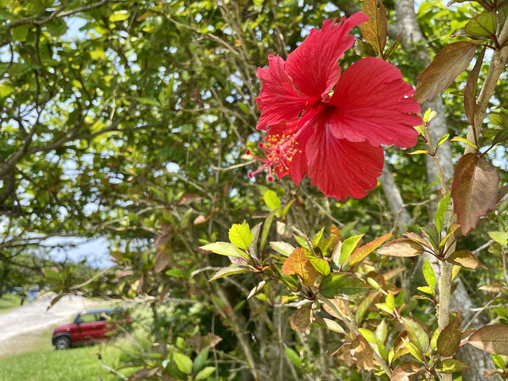 okinawa1
