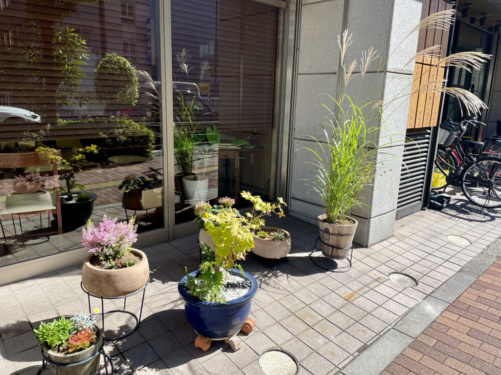plants2 plants2