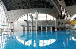 pool11