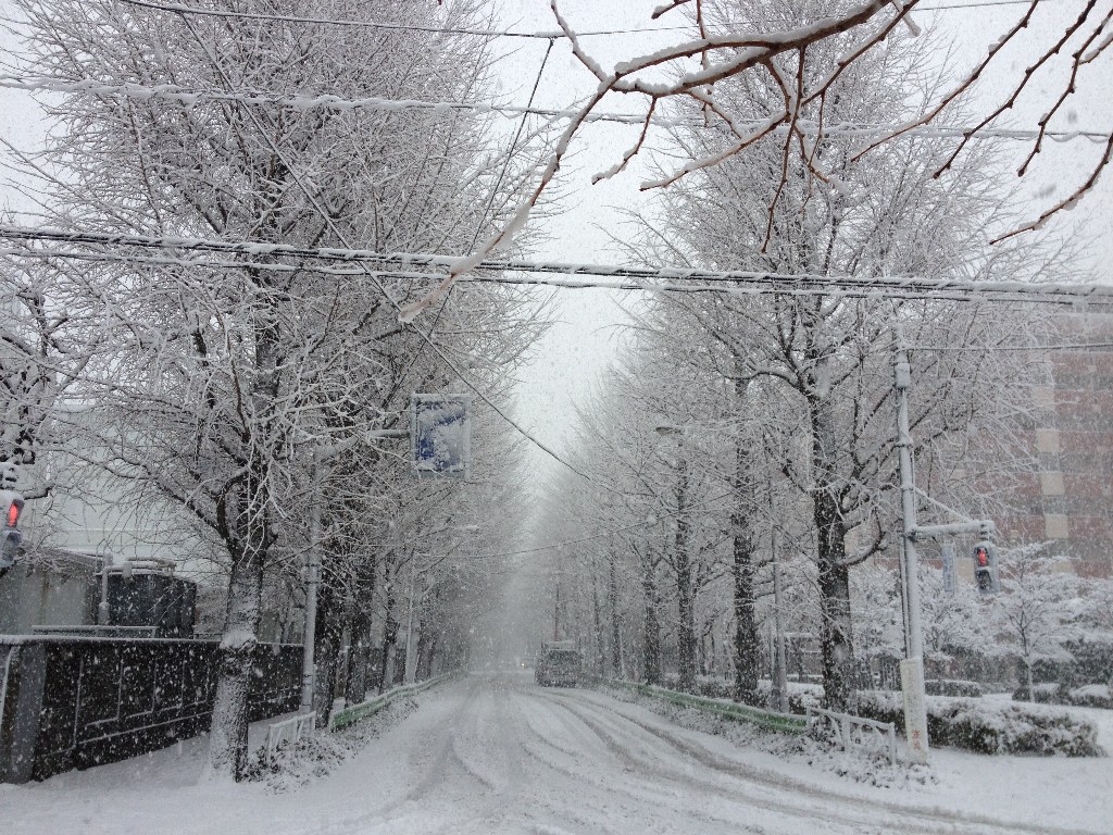 snow snow