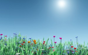 spring spring