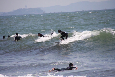surfing surfing