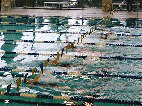 swimming1 swimming1