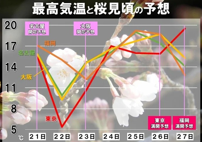 tenki4