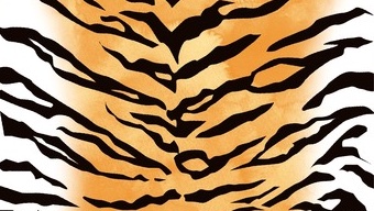 tiger tiger