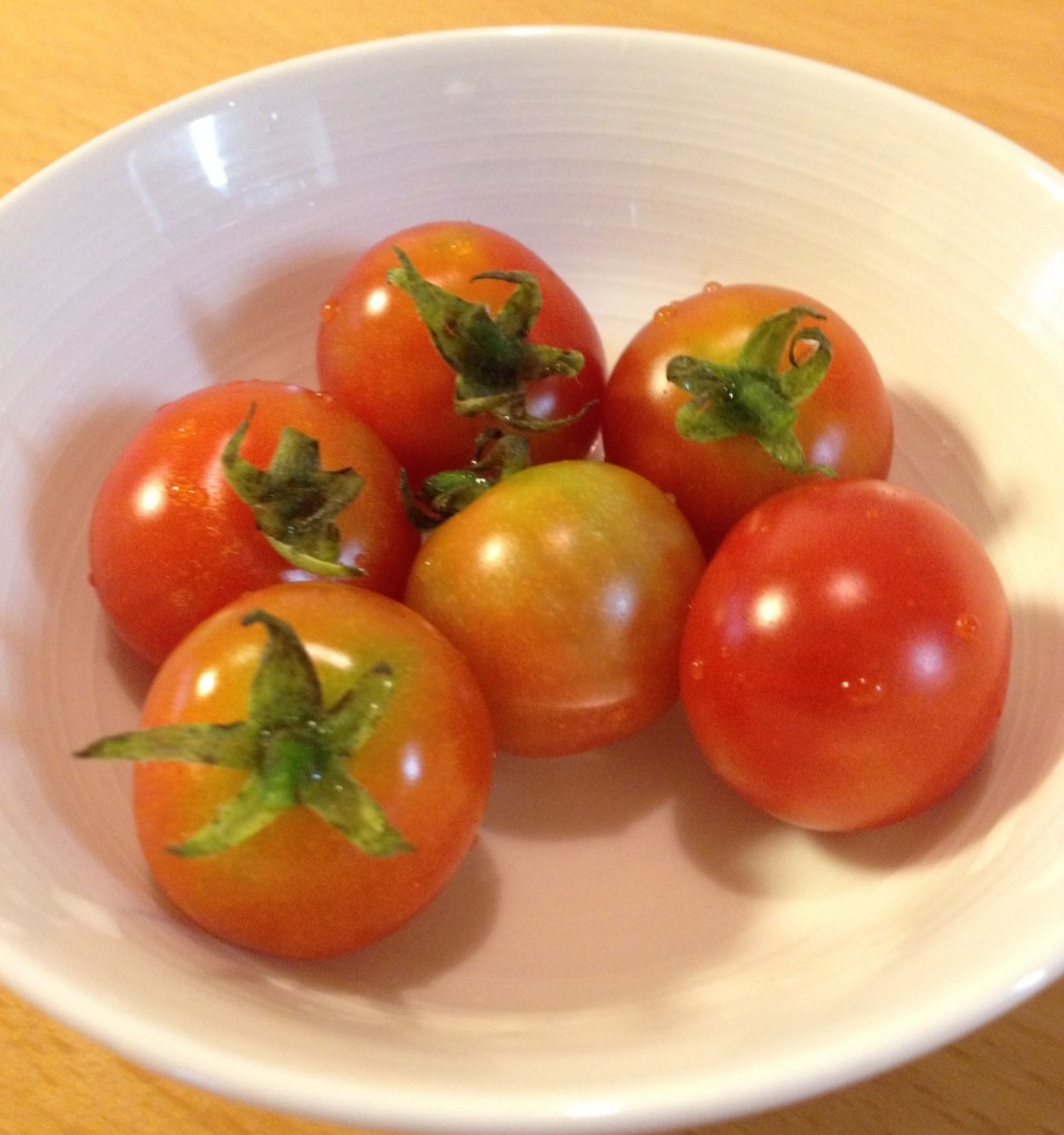 tomato tomato