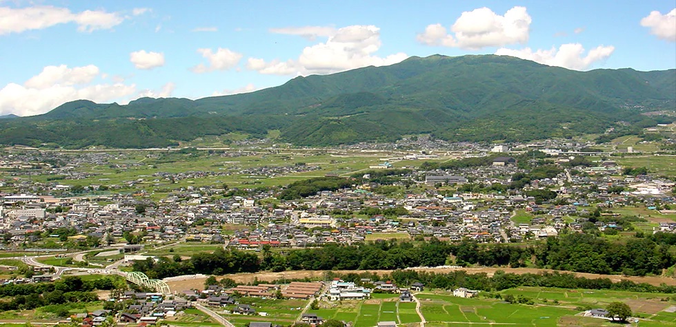 toumi