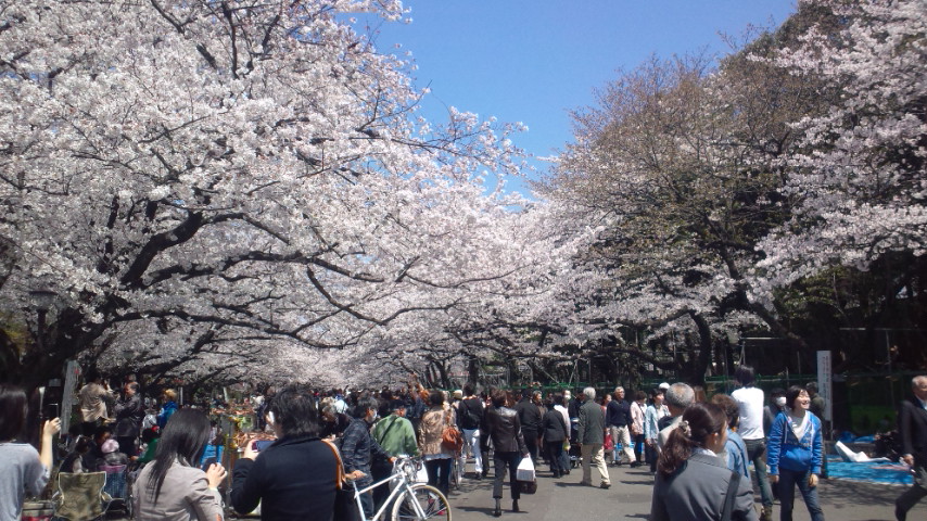 ueno ueno
