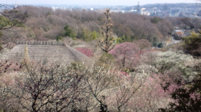 ume2 ume2