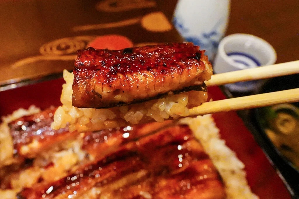 unagi3 unagi3