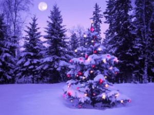 xmas1 xmas1